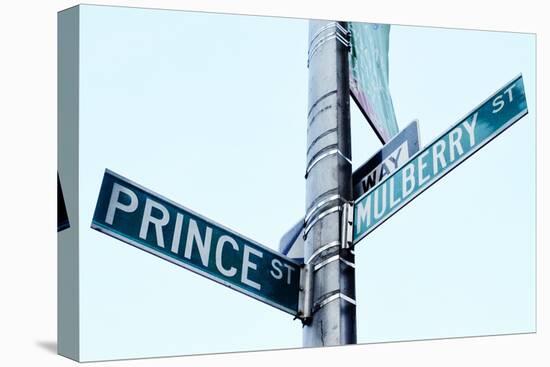 Prince and Mulberry Street Signs, Little Italy, New York City-Sabine Jacobs-Premier Image Canvas