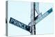 Prince and Mulberry Street Signs, Little Italy, New York City-Sabine Jacobs-Premier Image Canvas