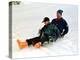 Prince Charles on a Sledge with Prince Harry While on Holiday in Klosters Switzerland January 1997-null-Premier Image Canvas