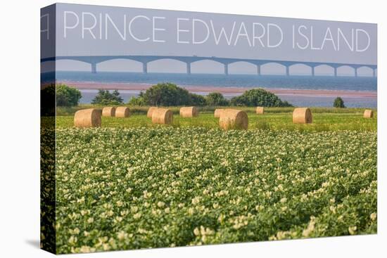 Prince Edward Island - Confederation Bridge and Hay Bales-Lantern Press-Stretched Canvas