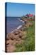 Prince Edward Island, Prim Point Shore and Waves with Red Roof House in Summer with Wildflowers-Bill Bachmann-Premier Image Canvas