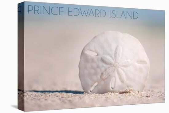 Prince Edward Island - Sand Dollar-Lantern Press-Stretched Canvas