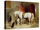 Prince George's Favourites-Edwin Henry Landseer-Premier Image Canvas