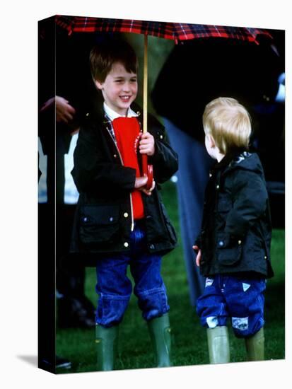 Prince Harry on right with Prince William at a polo match in Cirencester-null-Premier Image Canvas