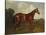 Prince Hatzfeldt's Chestnut Gelding 'Ascetic's Silver' in a Paddock-Emil Adam-Premier Image Canvas