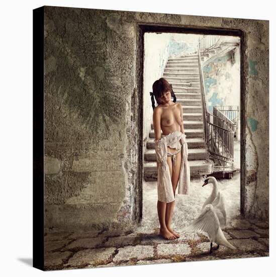 Princess and the Swan-Dmitry Laudin-Premier Image Canvas