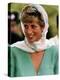 Princess Diana-null-Premier Image Canvas