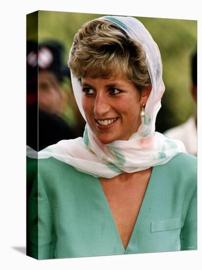 Princess Diana-null-Premier Image Canvas