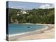 Princess Margaret Beach, Bequia, St. Vincent Grenadines, West Indies, Caribbean, Central America-Richardson Rolf-Premier Image Canvas