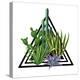 Print with Cactuses and Succulents Set. Plants of Desert.-incomible-Stretched Canvas