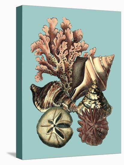Printed Shell & Coral Collection II-Vision Studio-Stretched Canvas