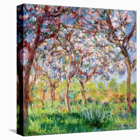 Printemps a Giverny, 1903-Claude Monet-Premier Image Canvas