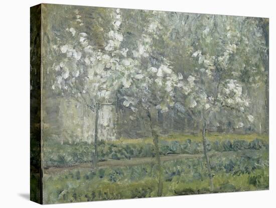 Printemps. Pruniers en fleurs, dit : Potager, arbres en fleurs, printemps, Pontoise-Camille Pissarro-Premier Image Canvas