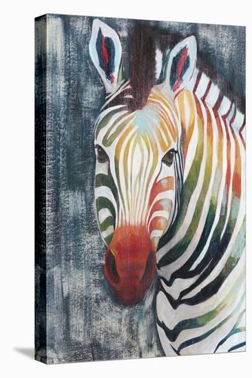 Prism Zebra II-Grace Popp-Stretched Canvas