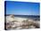 Pristine Dunes on Jekyll Island, Georgia-Giovanna Dell'orto-Premier Image Canvas