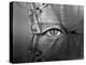 Private Eye-Thomas Barbey-Premier Image Canvas