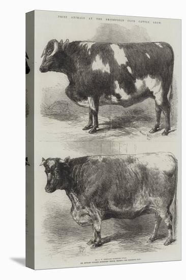 Prize Animals at the Smithfield Club Cattle Show-Harrison William Weir-Premier Image Canvas