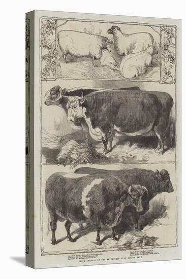 Prize Animals of the Smithfield Club Cattle Show-Harrison William Weir-Premier Image Canvas