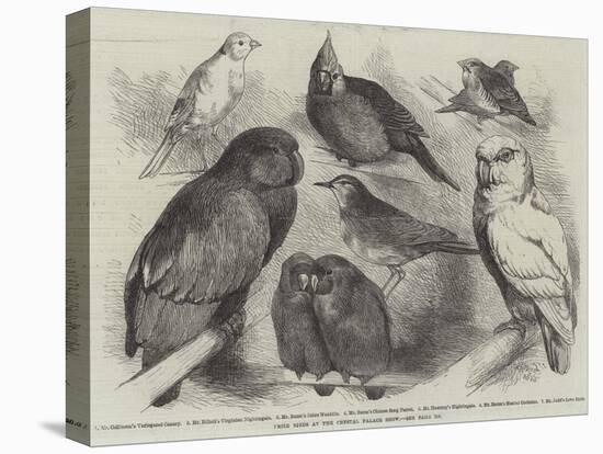 Prize Birds at the Crystal Palace Show-Harrison William Weir-Premier Image Canvas