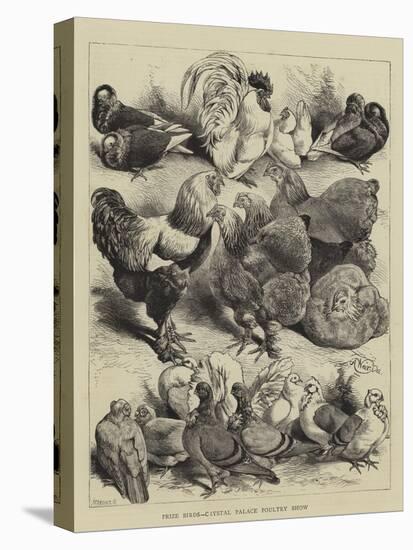 Prize Birds, Crystal Palace Poultry Show-Harrison William Weir-Premier Image Canvas
