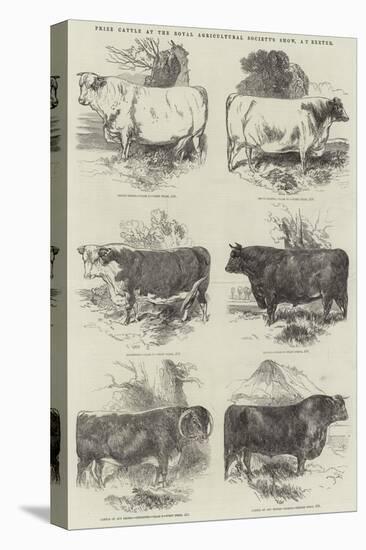 Prize Cattle at the Royal Agricultural Society's Show, at Exeter-Harrison William Weir-Premier Image Canvas