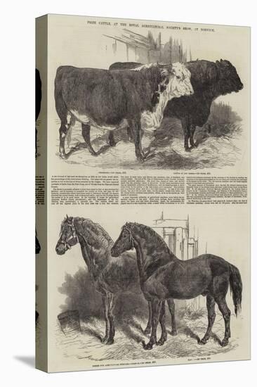 Prize Cattle, at the Royal Agricultural Society's Show, at Norwich-Harrison William Weir-Premier Image Canvas