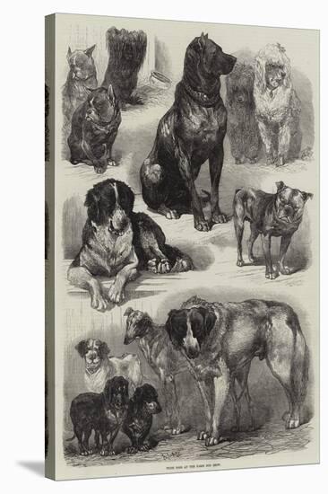 Prize Dogs at the Paris Dog Show-Auguste Andre Lancon-Premier Image Canvas