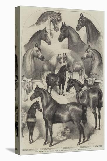 Prize Horses at the Horse Show in the Agricultural Hall, Islington-Harden Sidney Melville-Premier Image Canvas