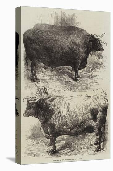 Prize Oxen at the Smithfield Club Cattle Show-Harrison William Weir-Premier Image Canvas