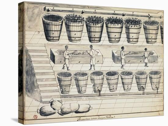 Processing Cycle for Extracting Sugar from Beet, Watercolor, Portugal, 19th Century-null-Premier Image Canvas