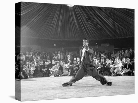 Professional Dancers Performing the Mambo-Yale Joel-Premier Image Canvas