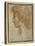 Profile of a Young Man-Parmigianino-Premier Image Canvas