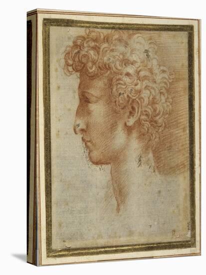 Profile of a Young Man-Parmigianino-Premier Image Canvas