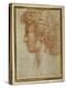 Profile of a Young Man-Parmigianino-Premier Image Canvas