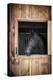 Profile of Black Horse Looking out Stable Window-elenathewise-Premier Image Canvas