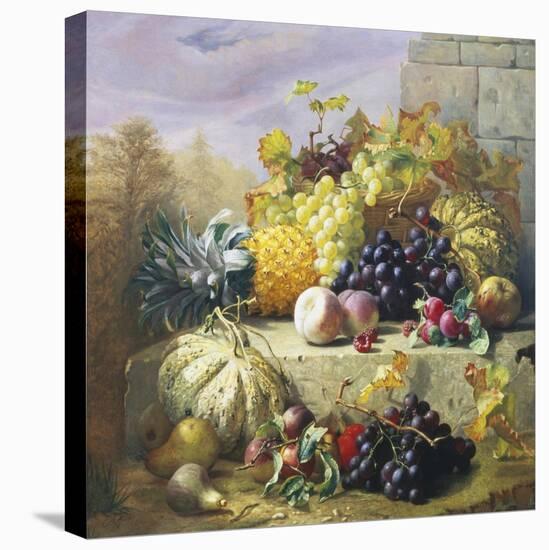 Profusion of Fruit-Eloise Harriet Stannard-Premier Image Canvas
