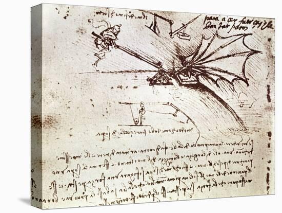 Project for Flapping-Wing Machine-Leonardo da Vinci-Premier Image Canvas