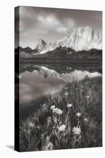 Pronghorn and Dragon Head Peaks BW-Alan Majchrowicz-Premier Image Canvas