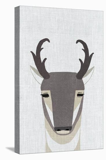 Pronghorn Antelope-Annie Bailey Art-Stretched Canvas