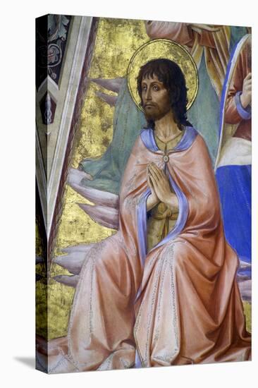 Prophets, Detail of John the Baptist, 1447-Fra Angelico-Premier Image Canvas