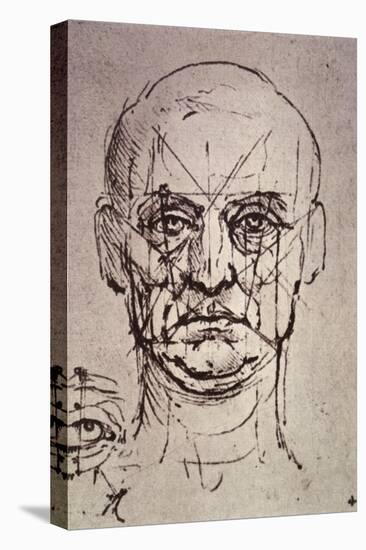 Proportions of the Face-Leonardo da Vinci-Premier Image Canvas