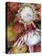 Protea Flower Design, Maui, Hawaii, USA-Darrell Gulin-Premier Image Canvas