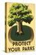 Protect Your Parks, Stately Tree-null-Stretched Canvas