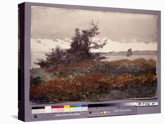 Prout's Neck, Looking toward Old Orchard, 1883 (W/C on Paper)-Winslow Homer-Premier Image Canvas