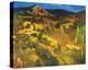 Provencal Landscape-Philip Craig-Stretched Canvas