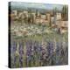 Provencal Village I-Michael Longo-Stretched Canvas