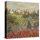 Provencal Village XII-Longo-Stretched Canvas