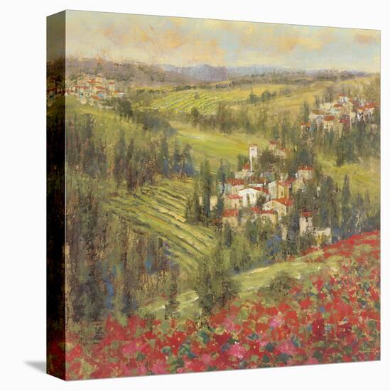 Provencal Village XIV-Longo-Stretched Canvas