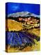 Provence 1225-Pol Ledent-Stretched Canvas