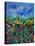 Provence 564150-Pol Ledent-Stretched Canvas